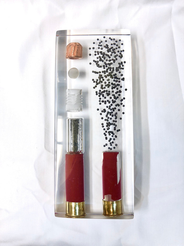 New items coming soon into the lineup. Shotgun Interactive 3D Art display slug vs. birdshot