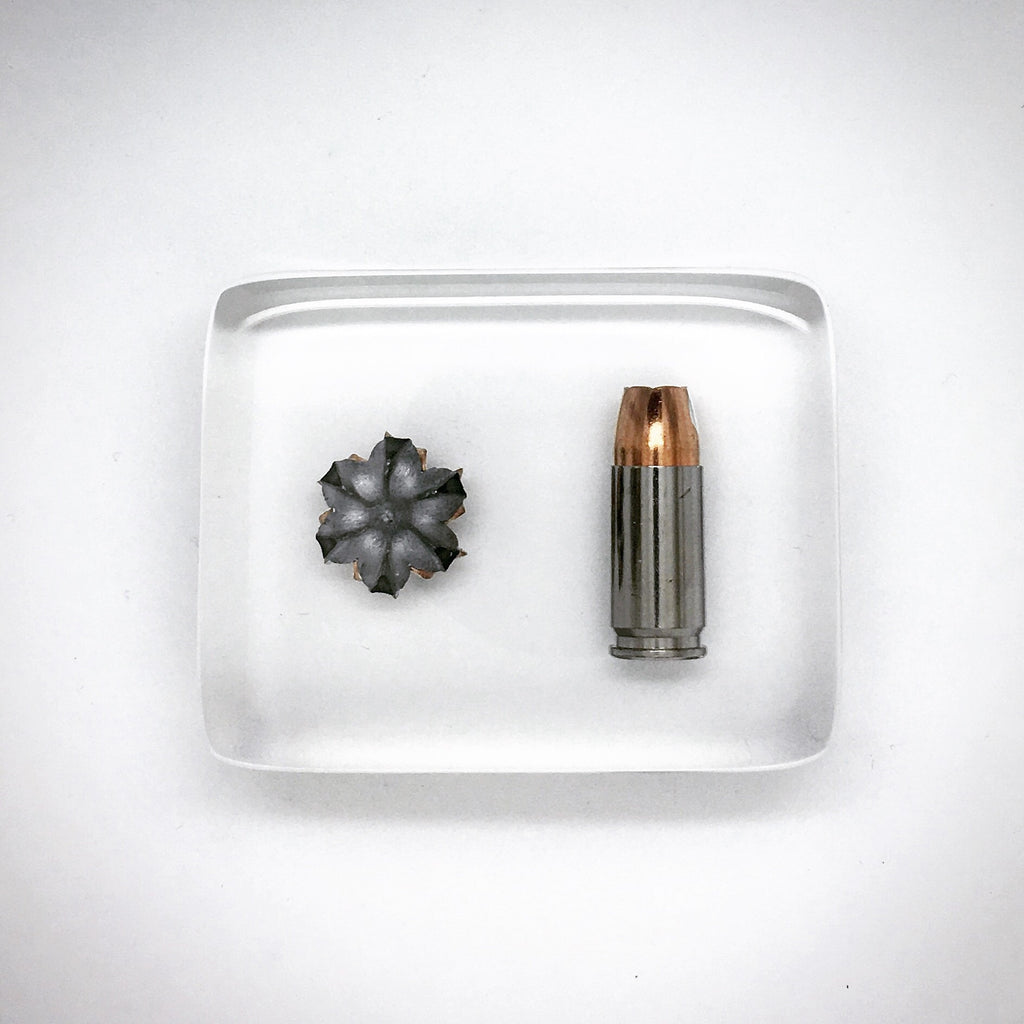 Sig V-Crown 9mm Small Display Block