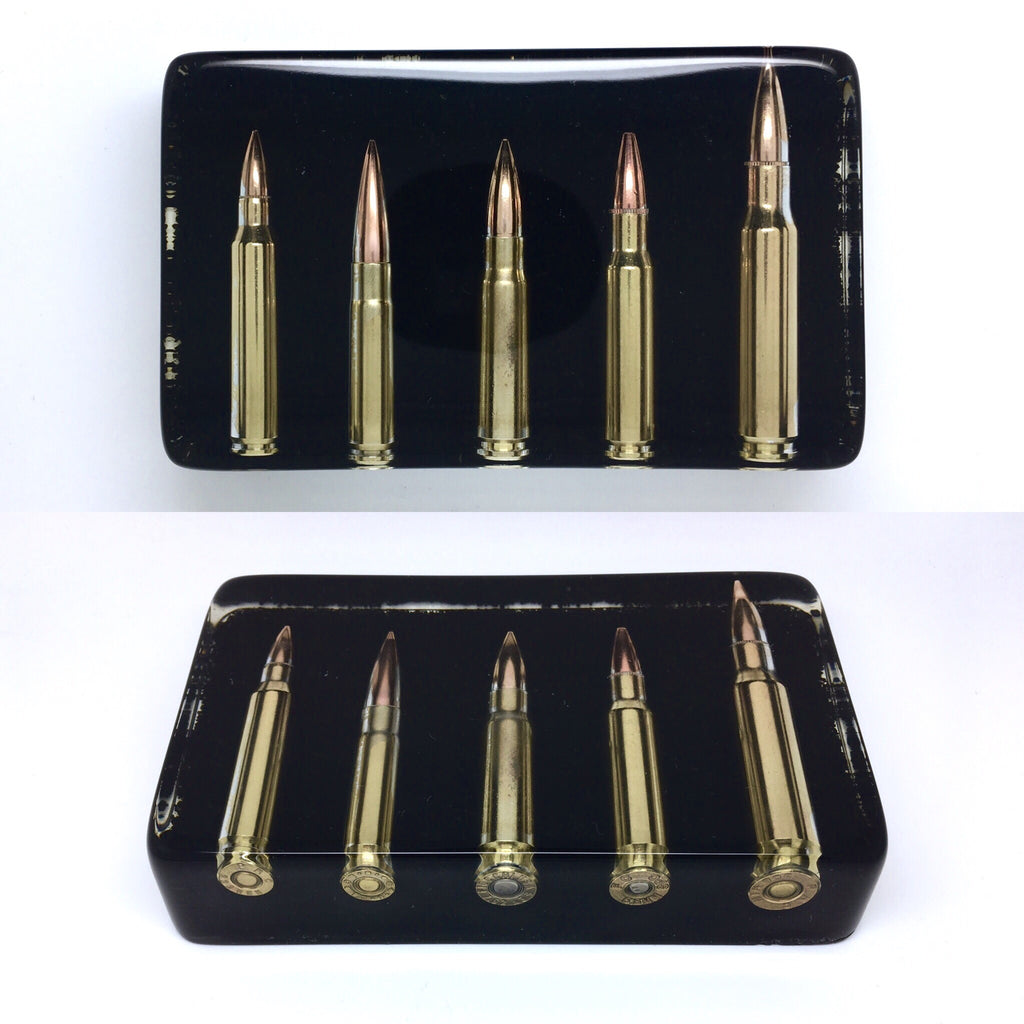 Ballistics Display Ammunition Display for sale by Crafted Ballistics